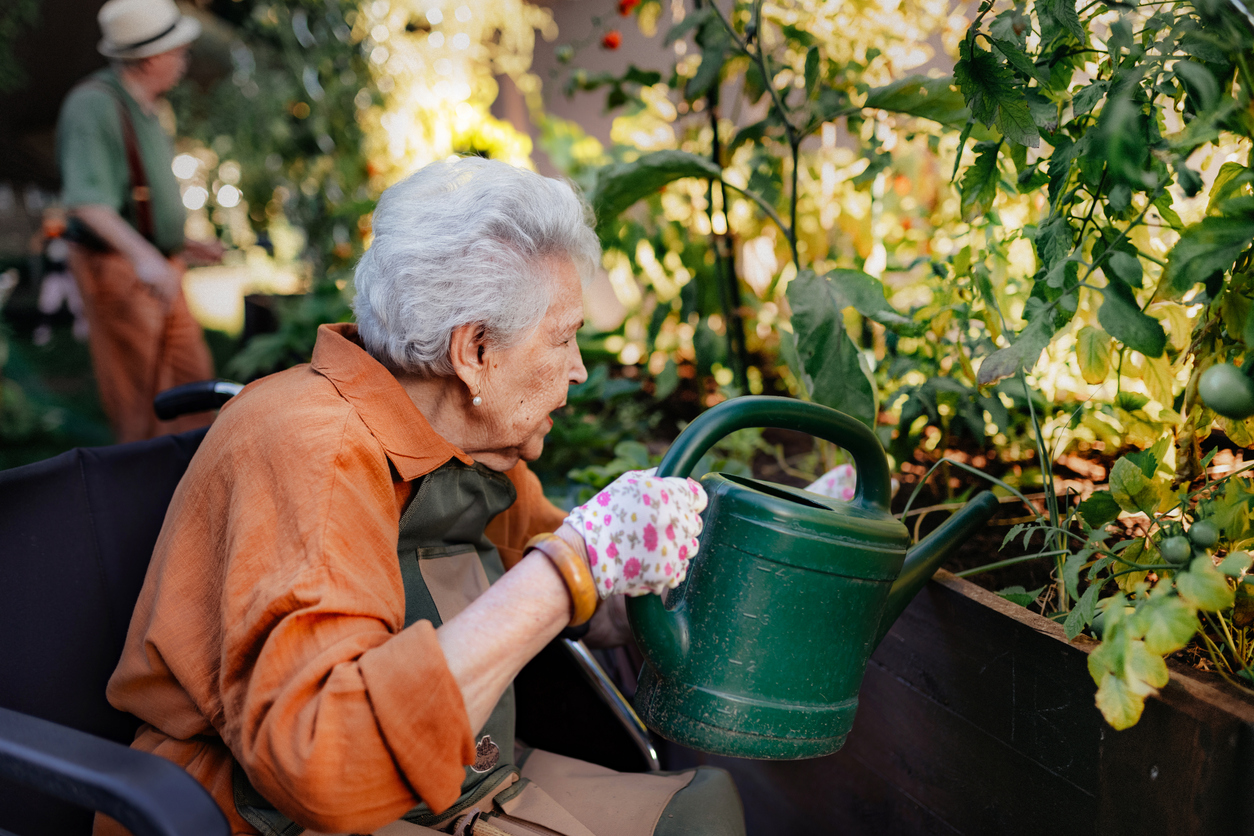 Elderly woman in a wheelchair watering plants in a garden, promoting mental health benefits and social interaction in accessible outdoor spaces at Amelia Grace Assisted Living.